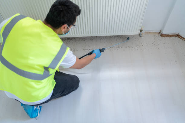 Best Pest Prevention Services  in South Greeley, WY